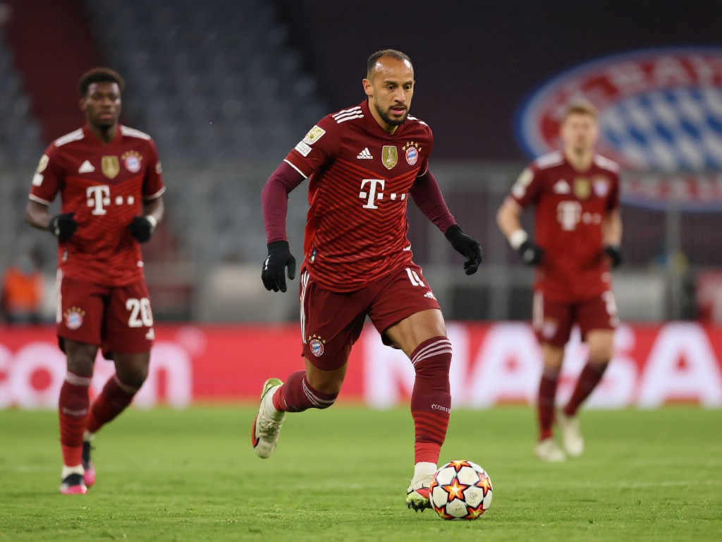 发挥了他们 发挥了他们